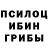 Псилоцибиновые грибы ЛСД Vlad Kopynets