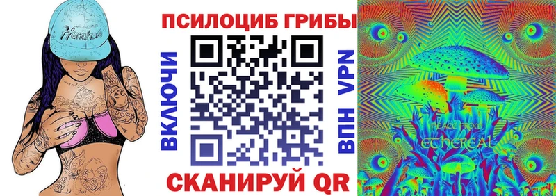 Псилоцибиновые грибы прущие грибы  сайты даркнета состав  Мытищи  купить  цена 